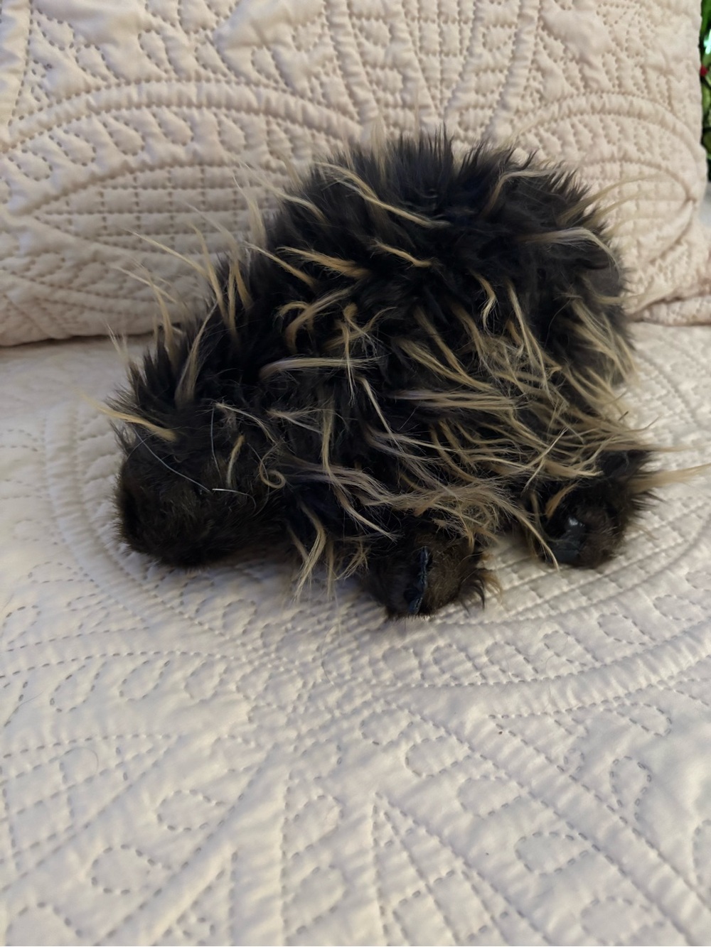 Folkmanis Porcupine Puppet, EUC